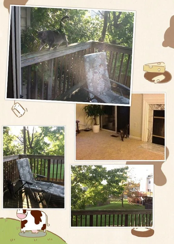 5 bed, 3.5 bath, 1376 sqft, $630 — Photo 3