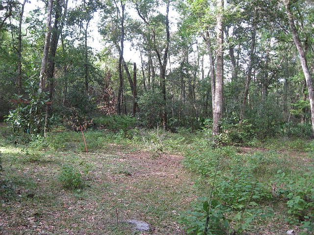 1st image of 508 NE 354th Ave