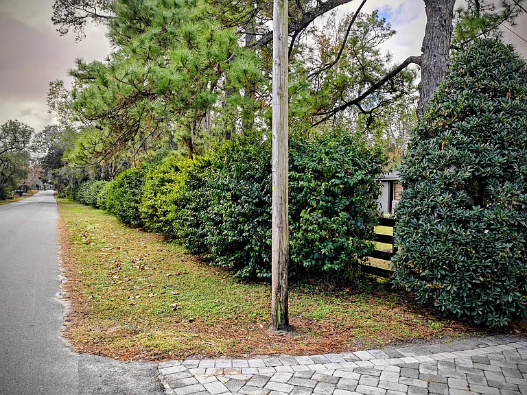 Private Bush Lined Yard