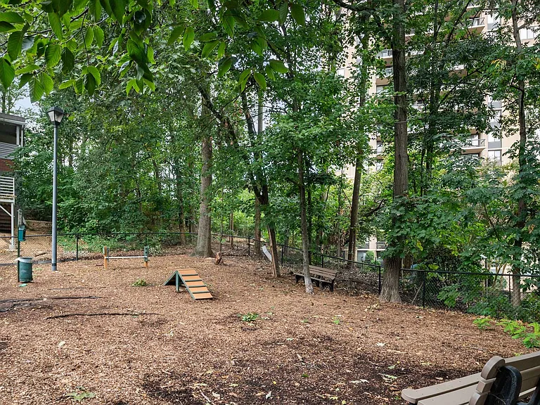 Cortland Van Dorn — Photo 23