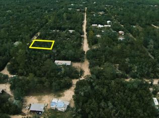 23067 NE 157th Ter, Fort Mc Coy, FL 32134