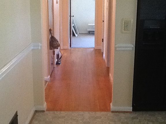 3rd image of 3018 Lindsey Dr