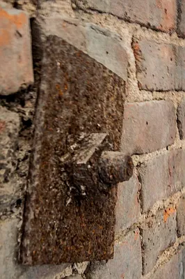 Rented by Town Residential | media 20