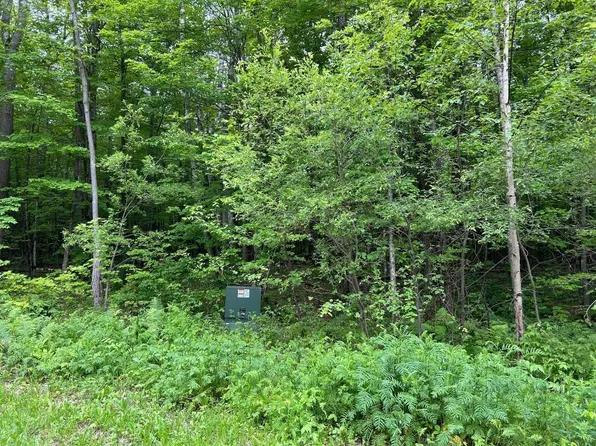 000-X N Gama Beach Rd #X, Grand Rapids, MN 55744