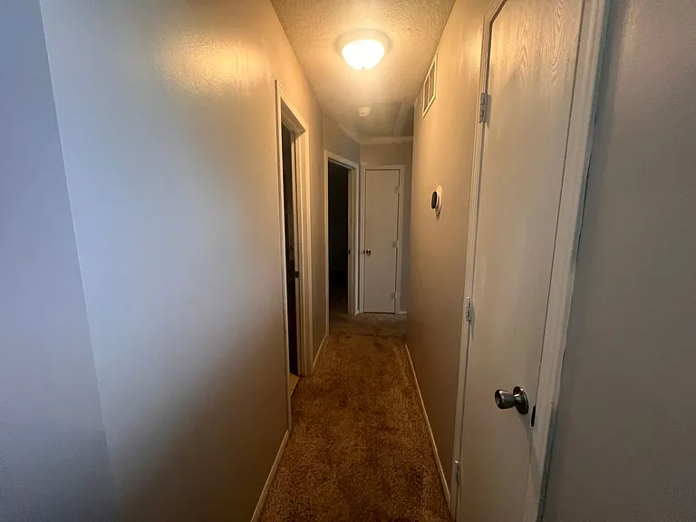 229 W Village Lake Dr — Photo 14