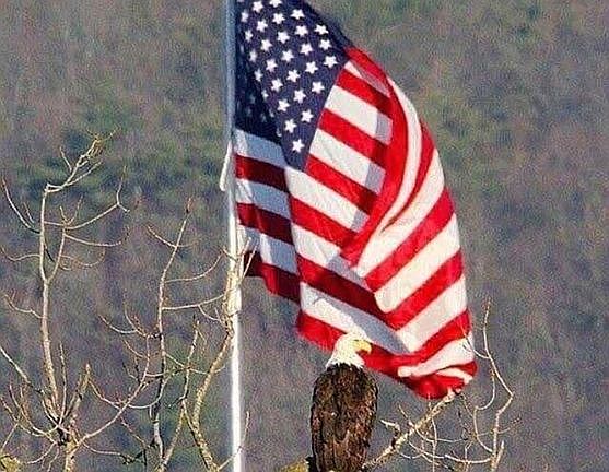 God bless America 