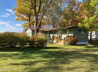 7117 N Canyon Dr, Irons, MI 49644