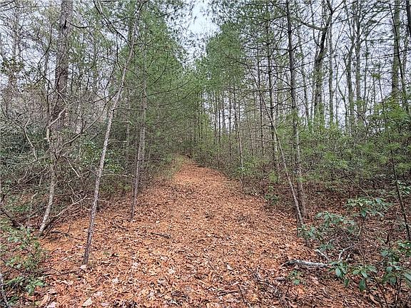 3rd image of LOT 1 Dugger Firetower Rd Lot 1
