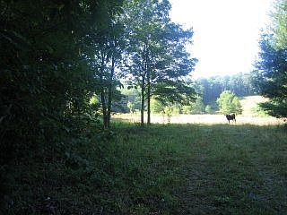 2nd image of Shadyside Ln