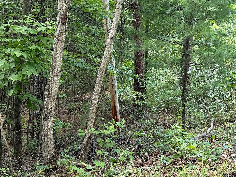 2nd image of Spring Hollow Rd