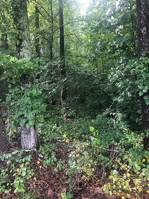 2nd image of 9474 Us Highway 78 Lot 0
