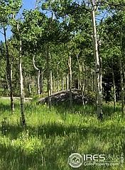 5th image of 397 Tesuque Trl