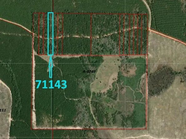 71143 Camp Seale Rd, Livingston, TX 77351