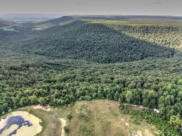 0 County Road 818, Bryant, AL 35958