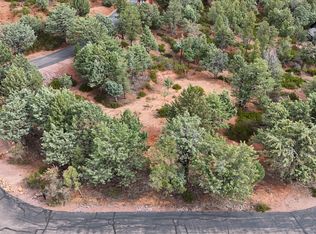 1061 S Fox Hat Trl, Pine, AZ 85544