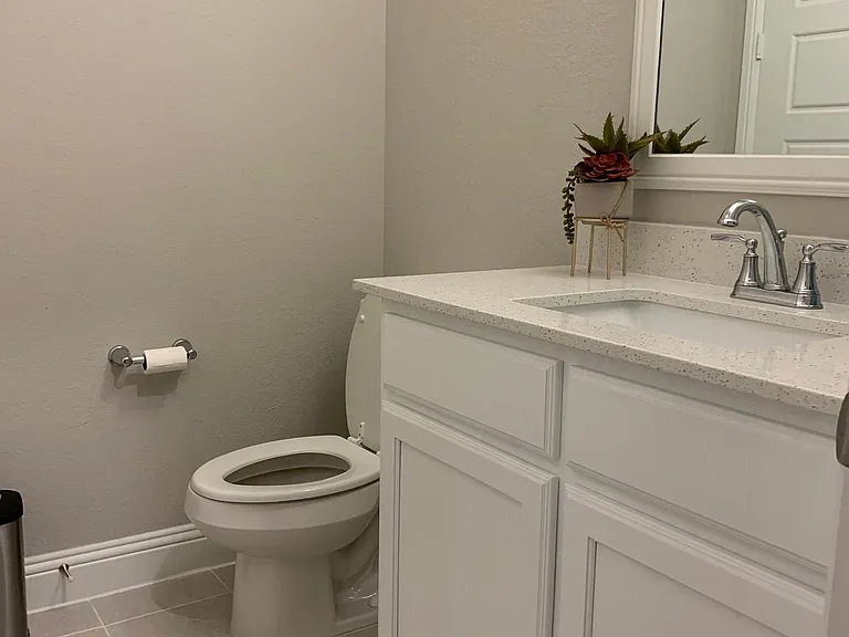 Downstairs powder bath