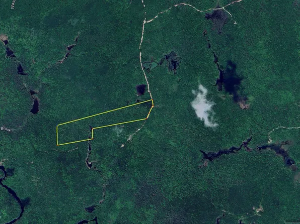 Lot 17 Lane Road, Cherryfield, ME 04622