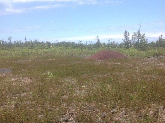 3rd image of 5th Ave Lot 2453