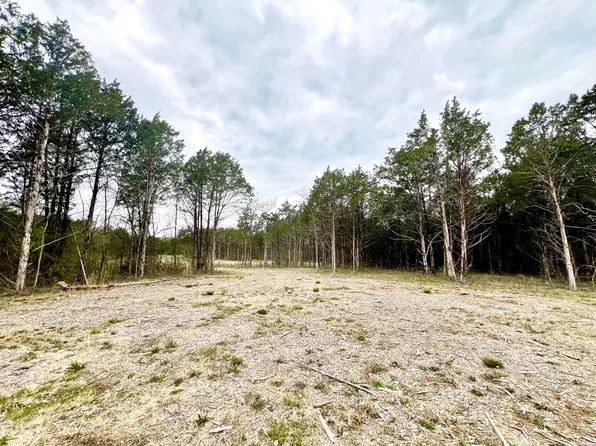 0 Christiana Hoovers Gap Rd, Christiana, TN 37037