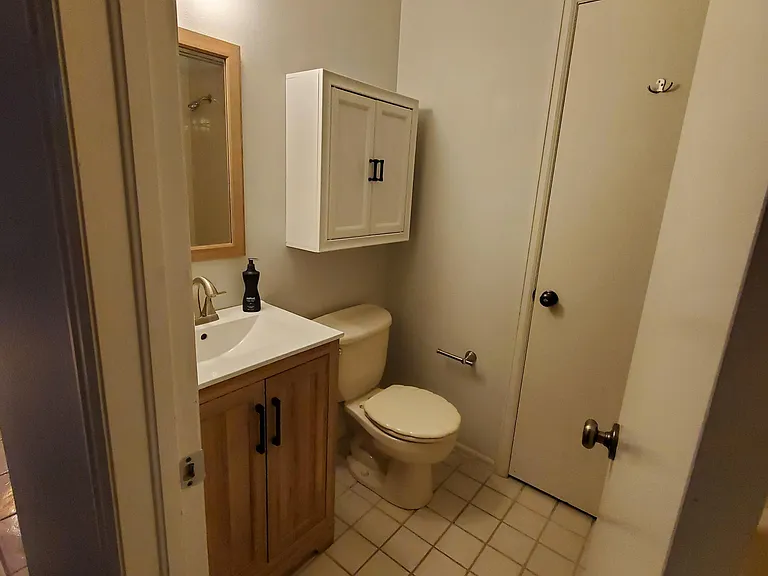 Main floor - Jack & Jill full bathroom provides access from living area and secondary bedroom.