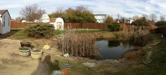 Patio, pond, & shed