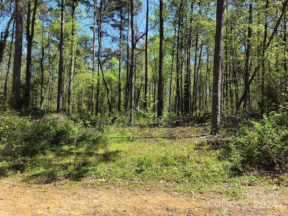 2nd image of LOT 110 Archie Ln