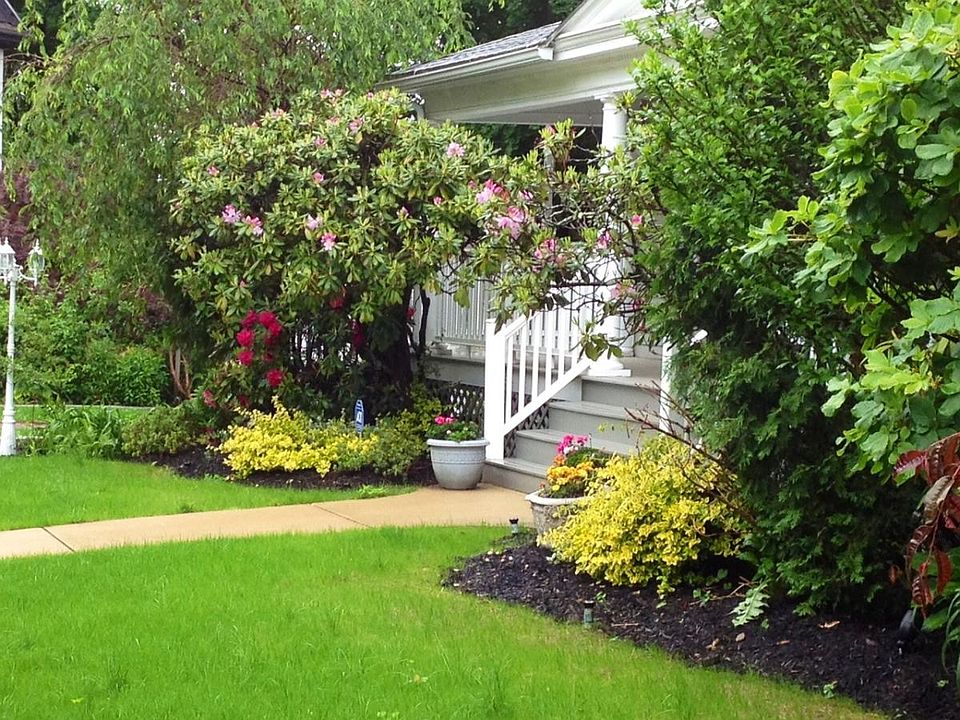 Front Yard