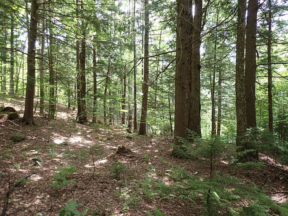 3rd image of 0 South Hill Road