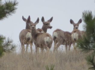 Lookout Point Ln, Cascade, MT 59421