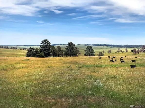 31350 County Road 91, Kiowa, CO 80117