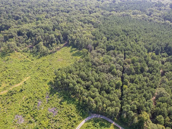 0 Connor Fishcamp Rd, Daingerfield, TX 75638