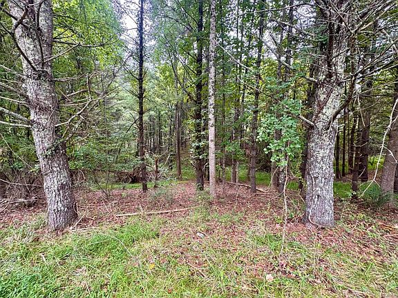 5th image of Tbd Delps Beach Ln