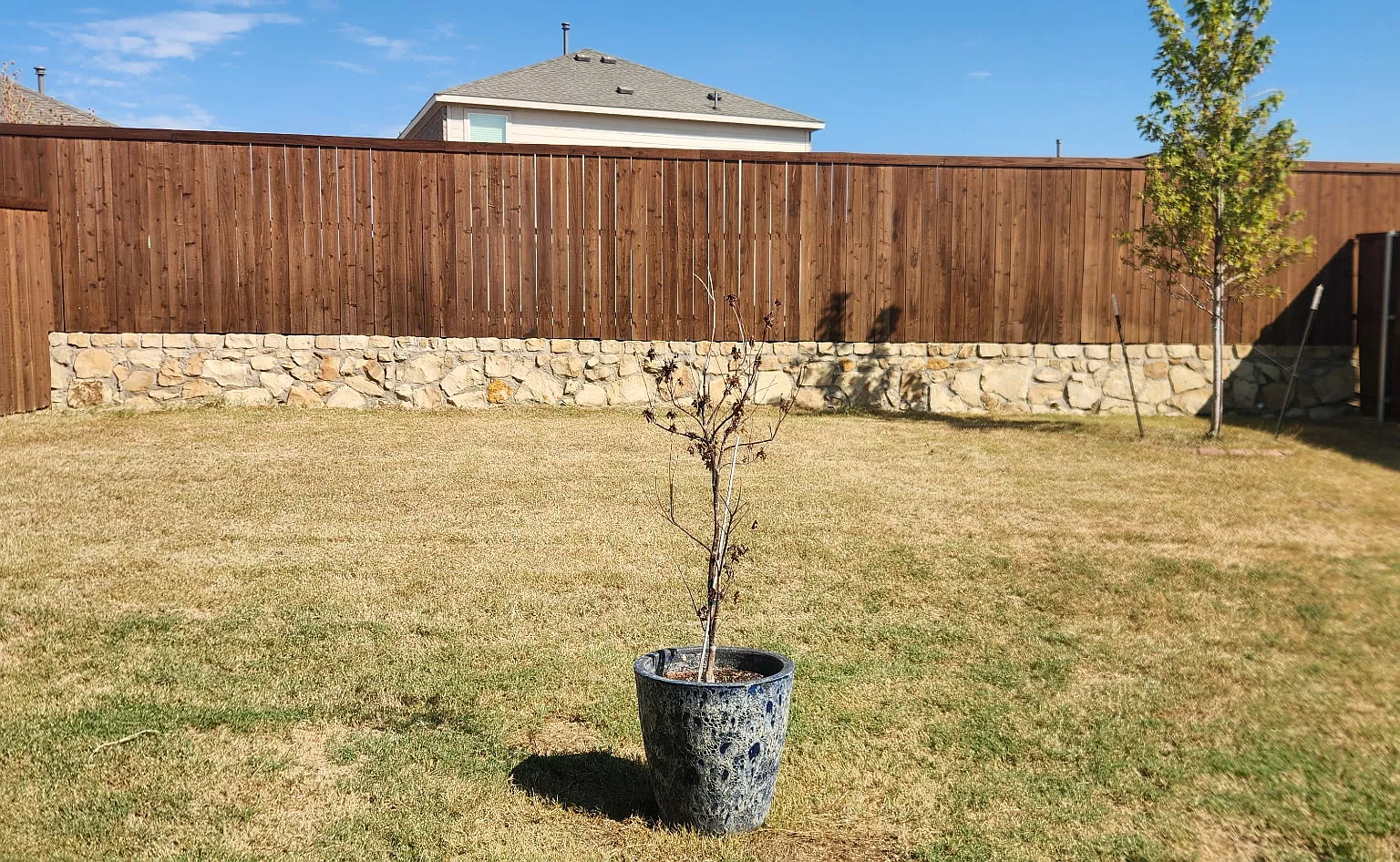 4 bed, 1700 sqft, $2,000 — Photo 2