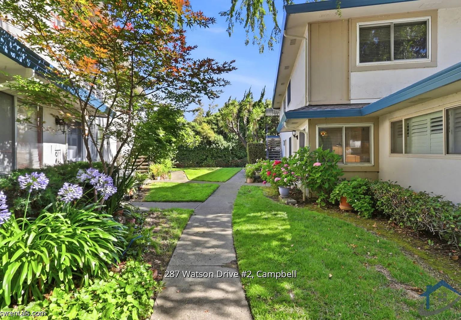 2 bed, 903 sqft, $3,350 — Photo 1