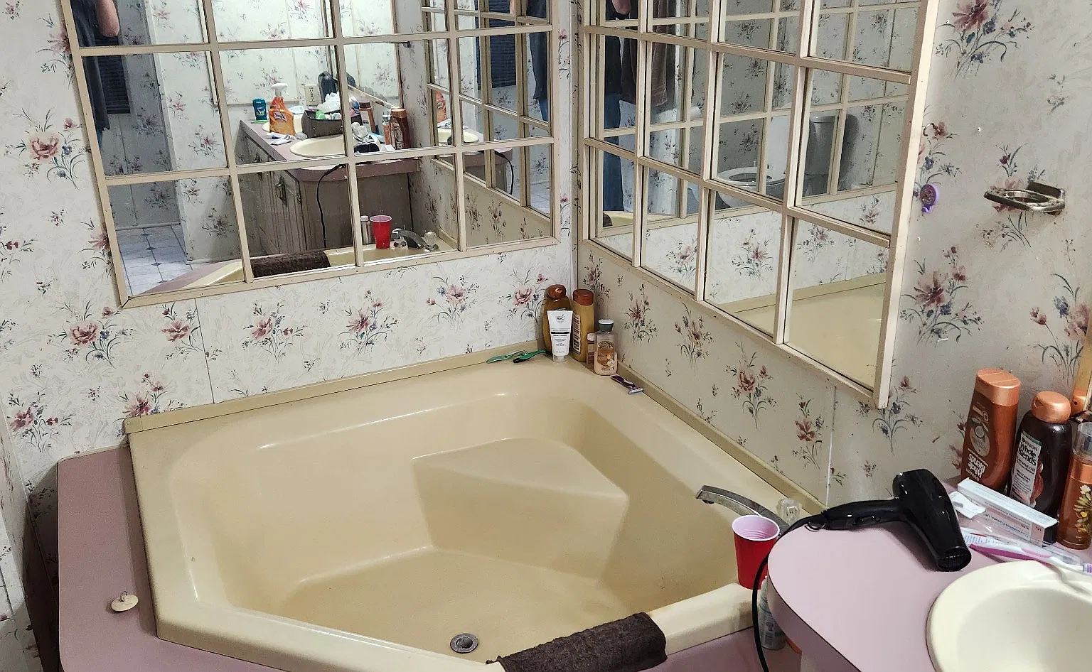 2 bed, $900 — Photo 3