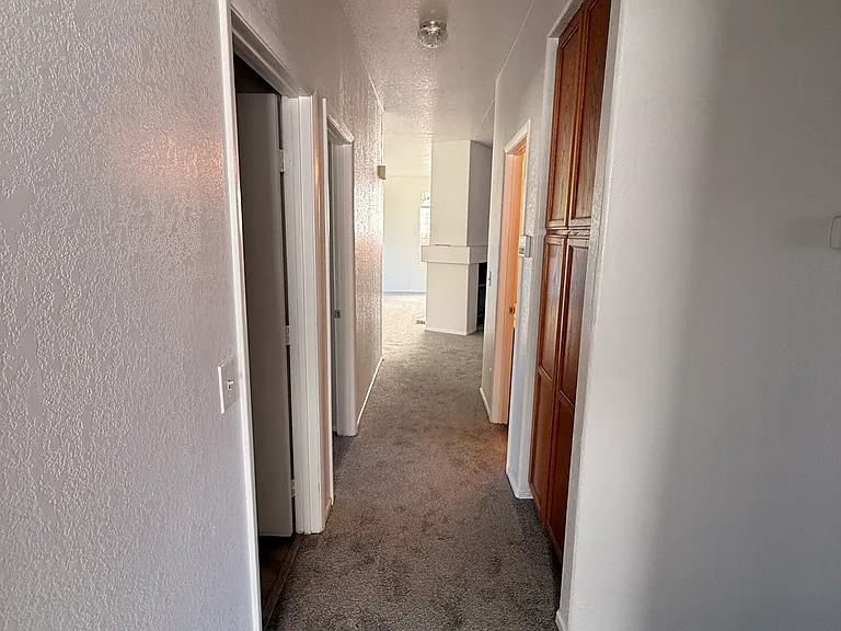 1503 Shotgun Ln — Photo 18