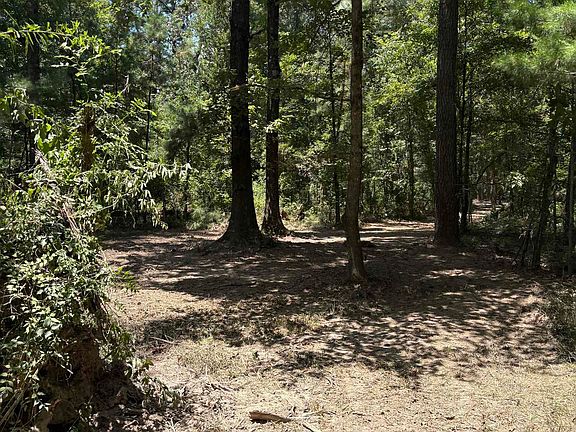 4th image of 23686 State Highway 442