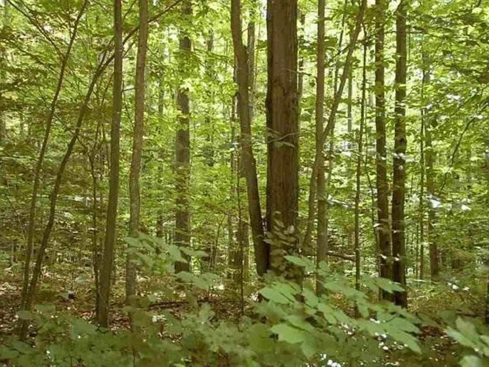 1st image of Home Acres Dr