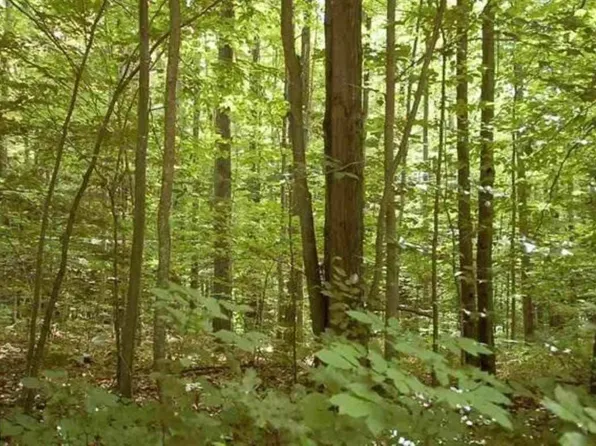 Home Acres Dr, Houghton Lake, MI 48629