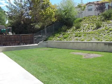 32025 Calle Galarza — Photo 15
