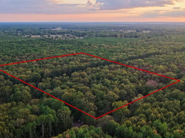 County Road 22 Cres #22, Lewisville, AR 71845
