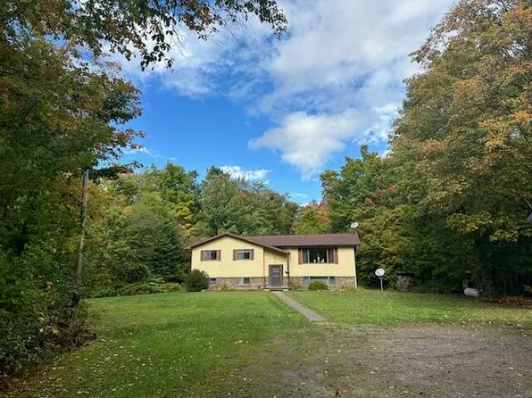 199 E Forteen Mile Rd, Dafter, MI 49724
