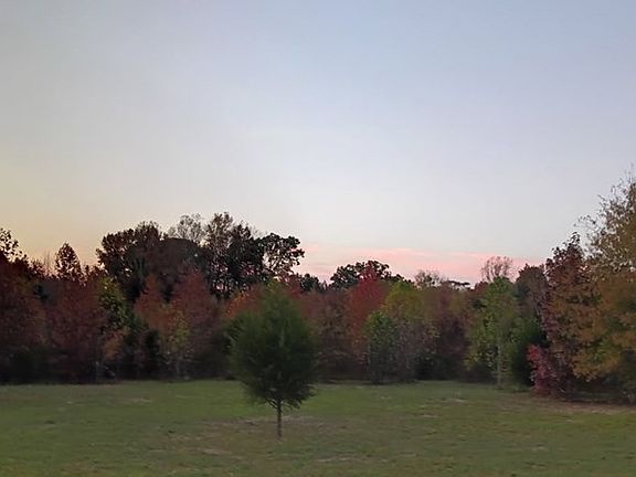 3rd image of 4140 Bull Creek Rd