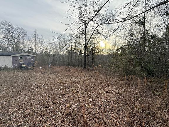 4th image of 171 Blackberry Lane