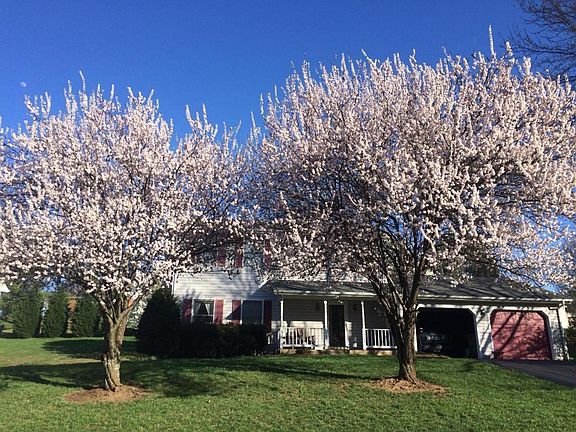 3rd image of 2414 Olde Salem Dr