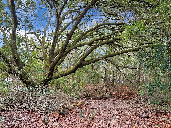 4th image of 429 Sandhill Rd