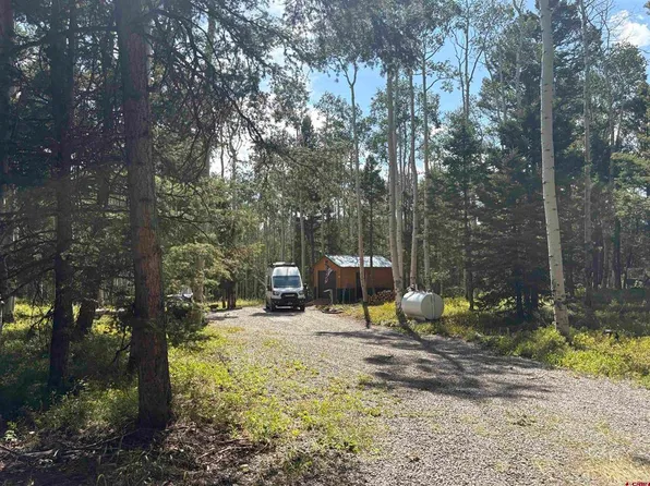 240 Crest Drive, Cimarron, CO 81220