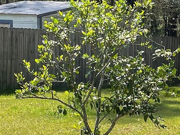 3rd image of 6831 Community Dr