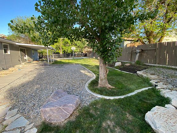Backyard from west end