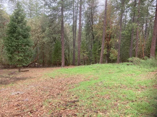 20950 Warner Rd E, Pine Grove, CA 95665